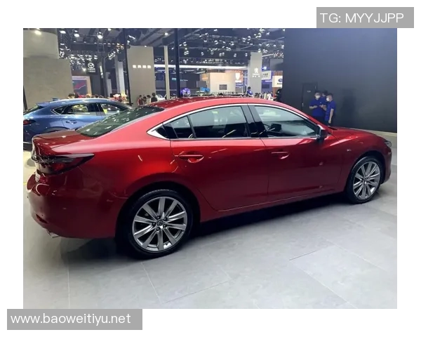 排球爱好者必看护膝选购指南推荐适合不同水平的装备选择技巧