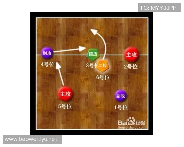 运动数据排球新手必看从基础到战术的全面入门指南与技巧分享